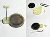 Cheese Golem, Ladybug, 4 Slugs, Doodlebug - M&M 3d printed Ladybug (unpainted) assembly