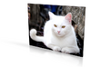 Gubbio Cat - flat - 4in 3d printed 